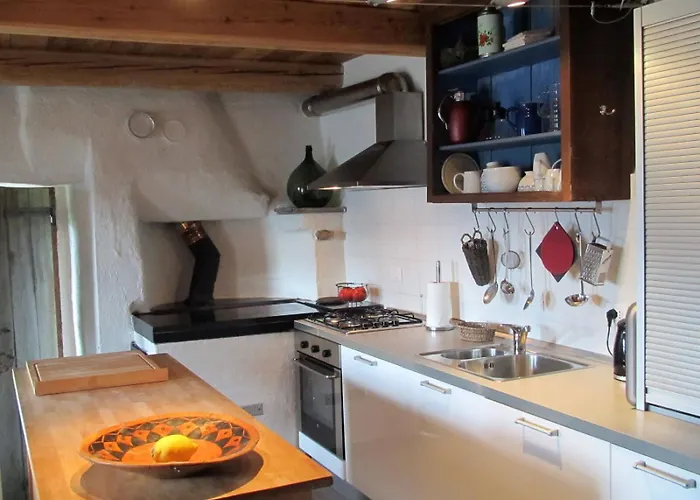 Sole E Fiori Di Erik Gaebler *